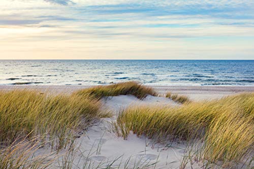 VLIES Fototapete-500x280 cm-STRAND-(PF1098)-Nordsee Ostsee Ozean Sand Meer...