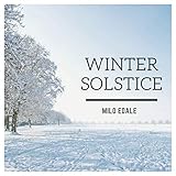 x5 winterreifen gebraucht  Winter Solstice