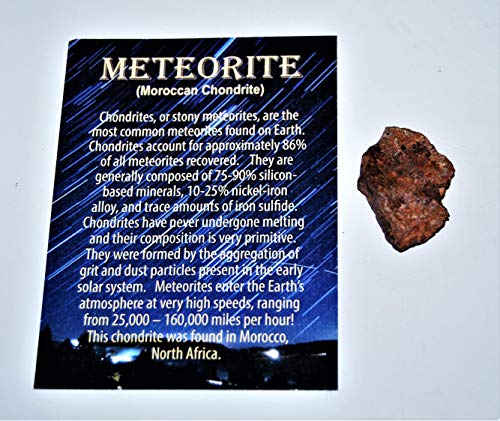 Fossils, Meteorites, & More Moroccan Chondrite Stony Meteorite - ONE - Size (M) 4 to 10 Gram
