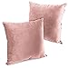 ITD HOME - 2 Fundas Cojines de Terciopelo para Sofás, Fundas Cojines 45 x 45cm Talla Unica, Funda de Almohada para Camas, Coches, Salones, Sillones (Rosa Salmón)
