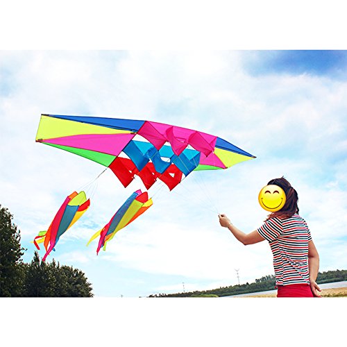 Besra Huge 98inch Single Line 3D Radar Kite with Flying Tools 2.5m Power Box Kites with 2 Windsock Tails Outdoor Fun Sports for Adults (windsock)