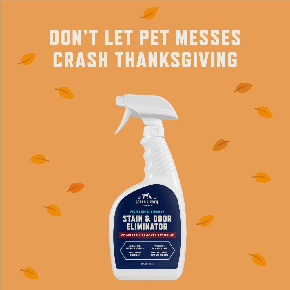 Conquer Pet Messes: A Review of Rocco & Roxie Stain & Odor Eliminator