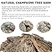 BNOSDM Reptile Terrarium Bark Substrate Bedding Tortoise 3.9-5.9in Natural Cork Bark Reptile Climbing Mat Habitat Decor for Lizard Snake Spiders Hermit Crabs Tarantula Geckos Bearded Dragons (0.7LB)