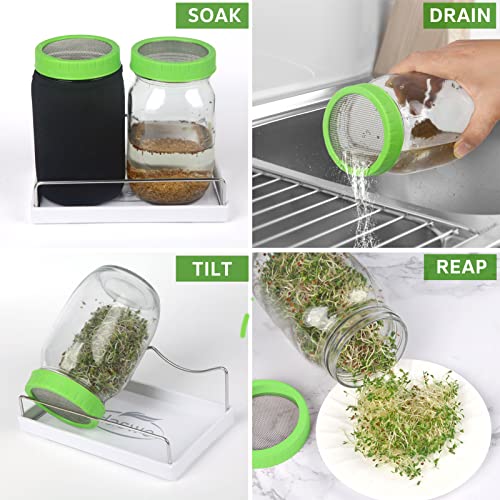 Seed Sprouting Jar Kit With Wide Mouth Mason Jars, Premium Stainless Steel Screen Sprout Lids, Blackout Sleeves, Tray And Sprouter Stand - Growing Broccoli, Alfalfa, Mung Beans And More #TOP5