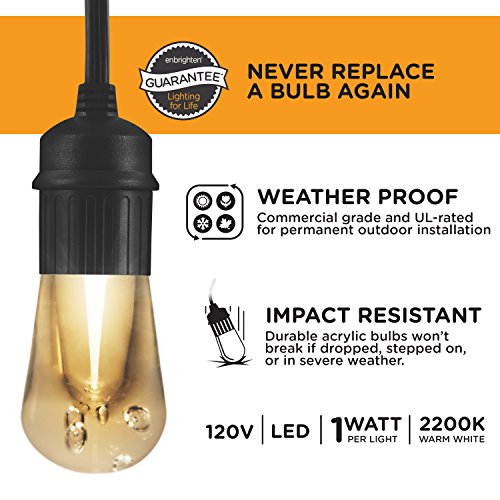 Enbrighten Vintage 24ft String Lights with Black Cord