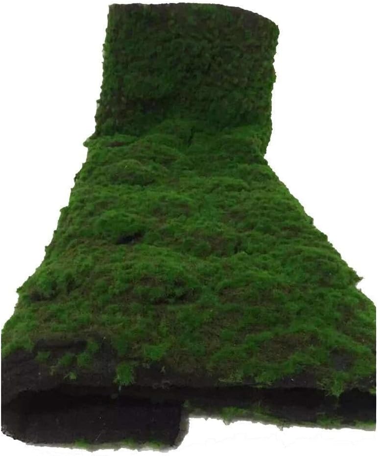 Artificial Moss Grass Mat – DIY Simulation Turf, Moss Area Rug for Shop Window, Wall, Indoor Decor (2-Pack, 100x100cm)