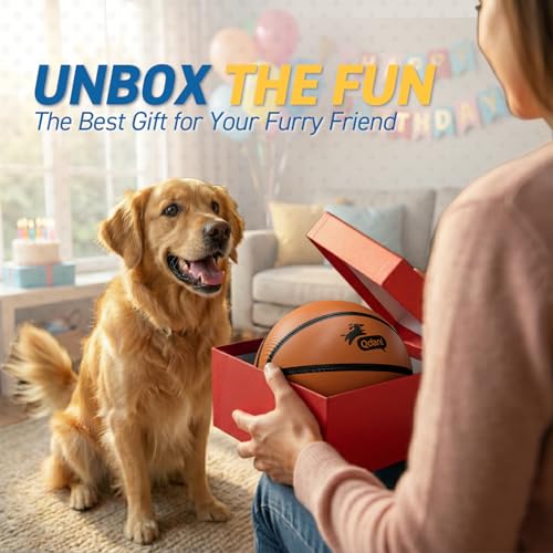 Image of QDAN Dog Basketball Toys, Dog Balls with Straps for Tug of War, 6 Inch | Dog Water Toy Pool Toys for Small Medium Dogs, <60 lbs Puppy Toys, Training Herding Balls for Outdoor, Puppy Birthday Gifts