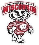 Wisconsin Badgers NCAA Vinyl Sticker Decal 10