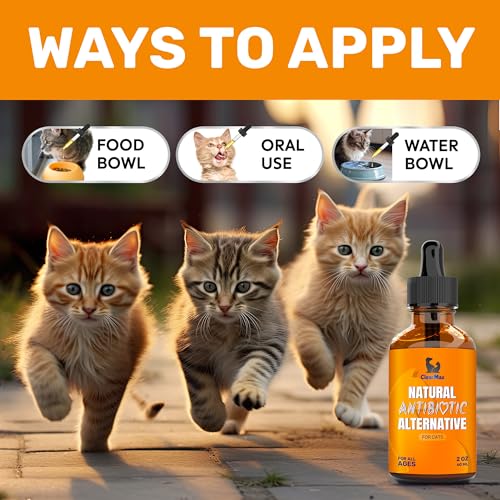 Cat Antibiotic to Help with Cough & Allergies – ​​Antibiotics for Cats to Aid with UTIs and Digestive Moments – HIPS & Joints Support – Attractive Chicken Taste – 2 Oz Bottle