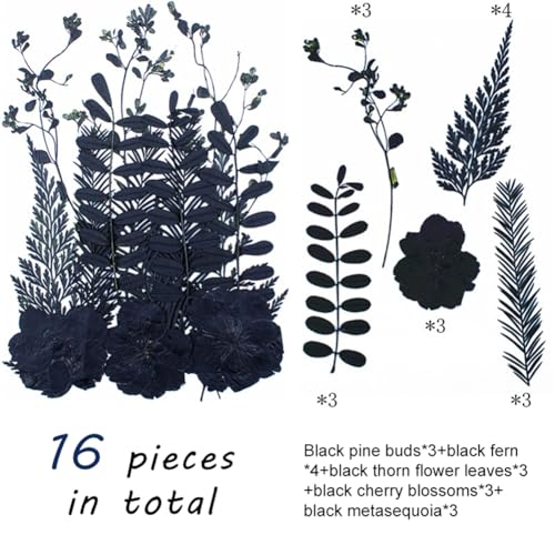 Surakey 3 Pack Flores secas prensadas negras para manualidades miniatura 2