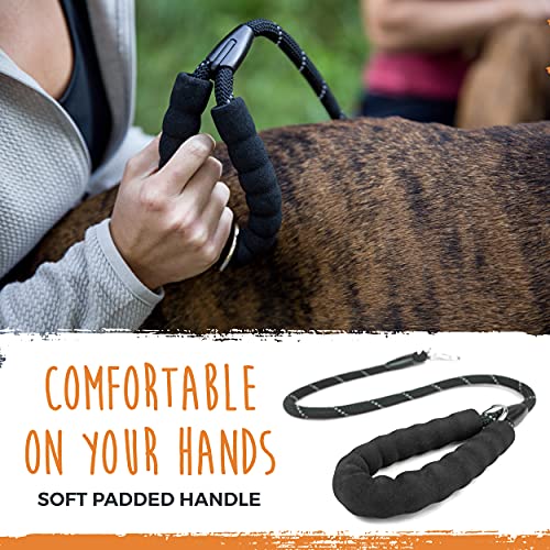 Mighty Paw Two Dog Leash With Rope Handle | Dual Dog Leash, Double Dog Leash, Multiple Dog Leash For 2 Dogs, Double Leash For Dogs, Leash Splitter For Large And Small Dogs, 2 Dog Leash, Leash Coupler #TOP3