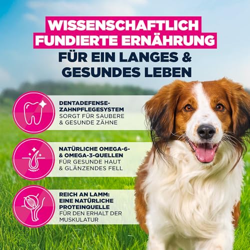 Eukanuba Hundefutter mit Lamm & Reis für kleine & mittelgroße Rassen, 3 kg