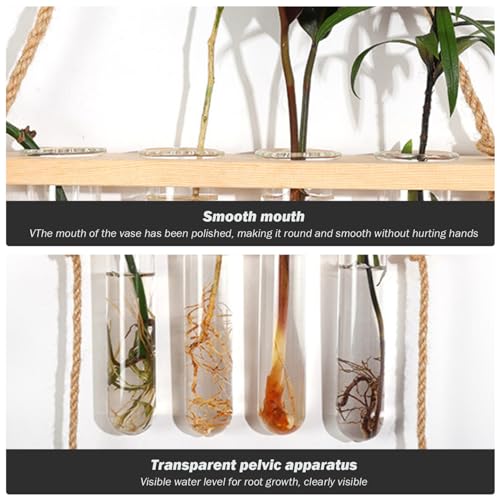 Station de propagation suspendue en verre et bois pour boutures 8 tubes 20x90 cm