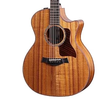 アコースティックギター　taylor TAYLOR NS72-CE|ドルフィンギターズ