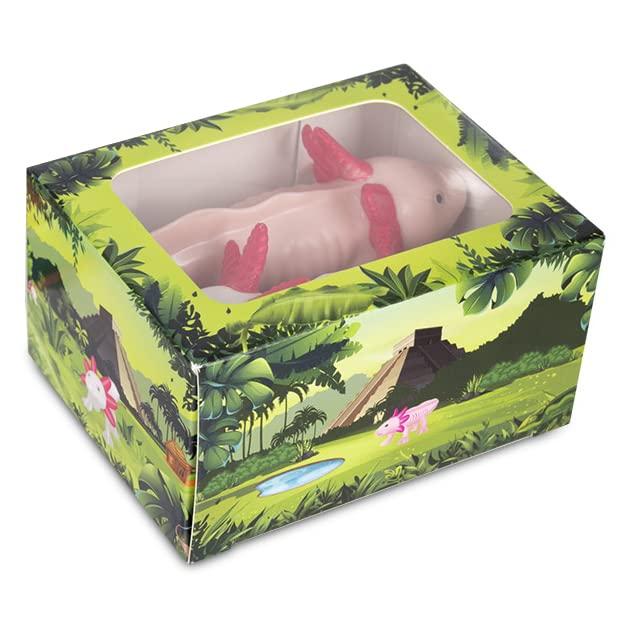 Amazon.com: Accoutrements Archie McPhee Box of Axolotls Family of