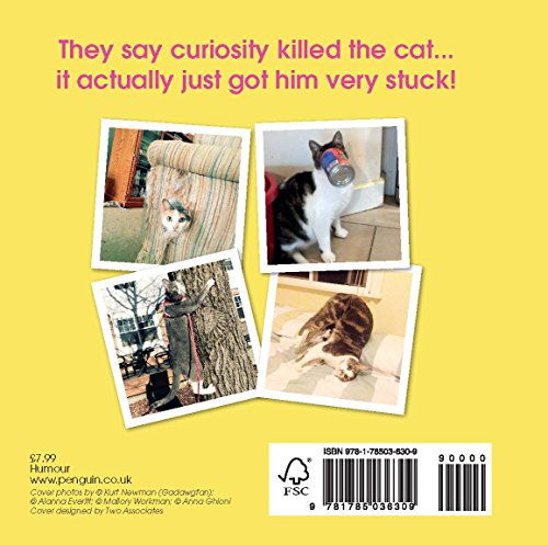 Cats Getting Stuck!: No Author Details