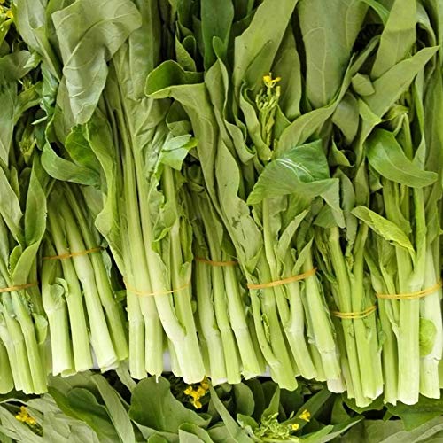 Benoon Pak Choi Seeds, 1000Pcs / Bolsa Semillas Fresh Non-GMO Green Prolific Pak Choi Seeds Para Jardín Semillas de Pak Choi