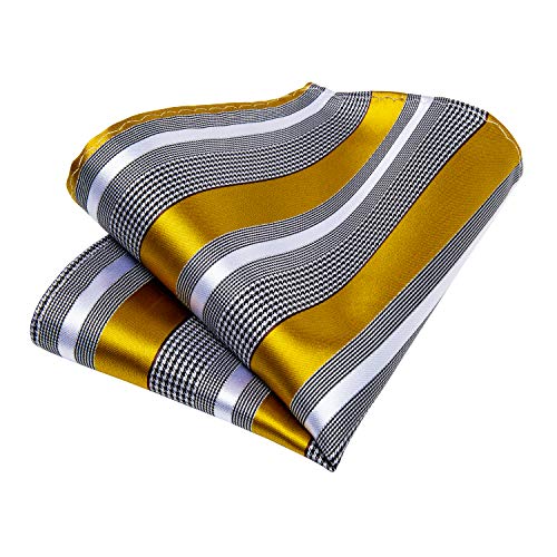 Image of DiBanGu Silk Ties for Men Necktie and Lapel Pin Brooch Set Formal Woven Paisley Plaid Striped Solid Tie Wedding Party