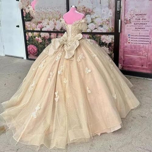 Quinceanera Dress Sparkling Butterfly Long Ball Gown Prom Dress Lace Appliques Party Ball Gown Sweet 15 Dress4