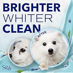 TropiClean-SPA-Shampoo-Tear-Stain-Remover-for-Dogs-Oatmeal-Blueberry-Scented-Facial-Cleanser-for-Dogs-Ideal-for-White-Dogs-All-Other-Coats-Cat-Friendly-Made-in-the-USA-8-Oz - Cucciolini Doodles   TropiClean-SPA-Shampoo-Tear-Stain-Remover-for-Dogs-Oatmeal-Blueberry-Scented-Facial-Cleanser-for-Dogs-Ideal-for-White-Dogs-All-Other-Coats-Cat-Friendly-Made-in-the-USA-8-Oz