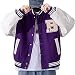 Produktbild Yokbeer Herren Varsity College Jacke Baseball Jacken Hip Hop Jacken, Furry Bone Color Block Streetwear Patchwork Muster, Herren Baseball Mäntel, Fliegerbomberjacke (Color : Purple, Size : XL)