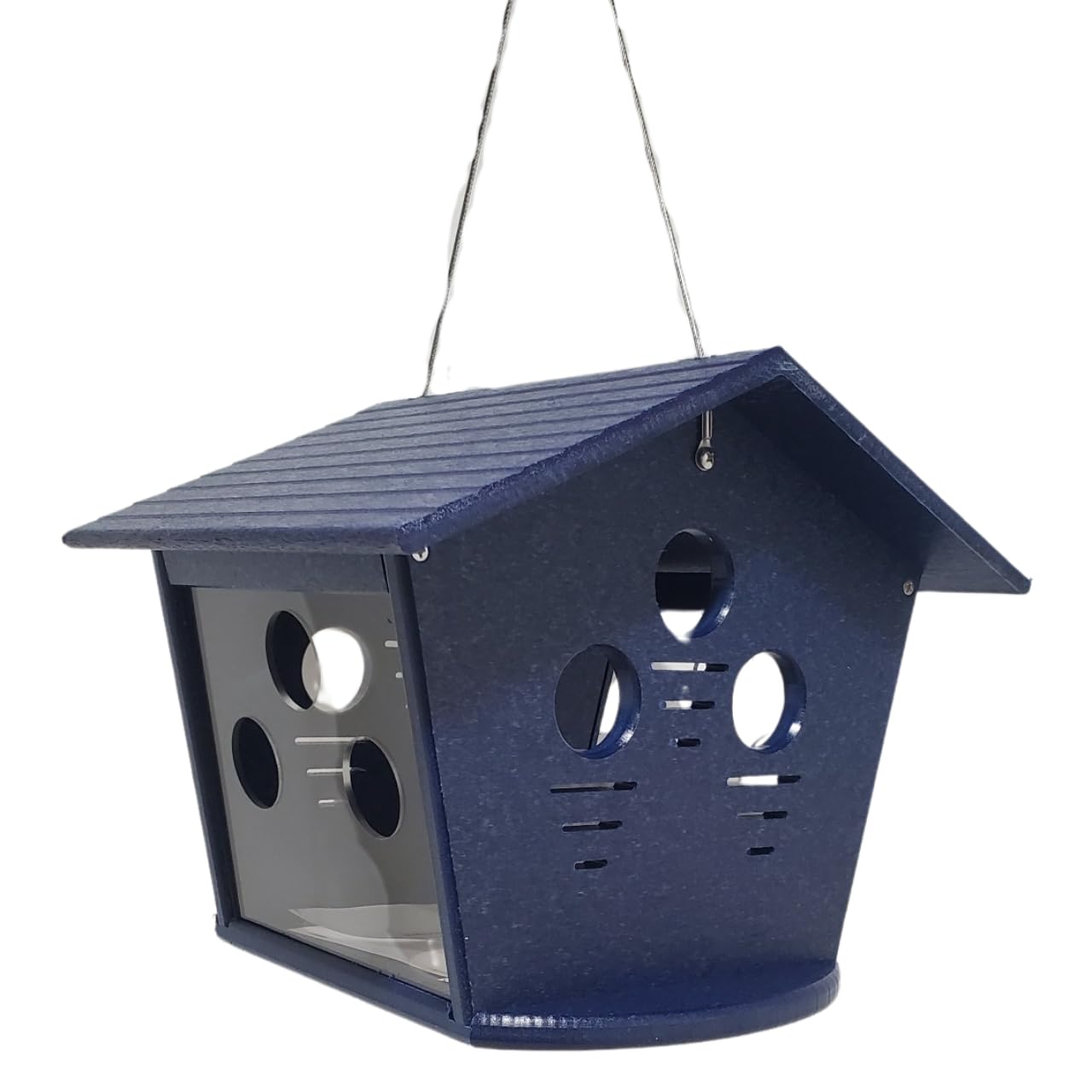 Bluebird Feeders That Keep Starlings Out: Ultimate Guide