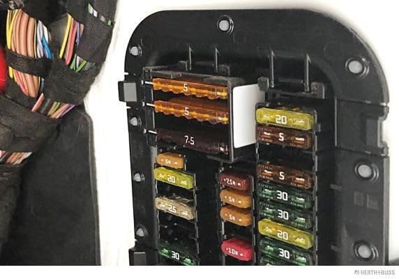 Amazon.com: Elparts 50295163 Fuse : Automotive 