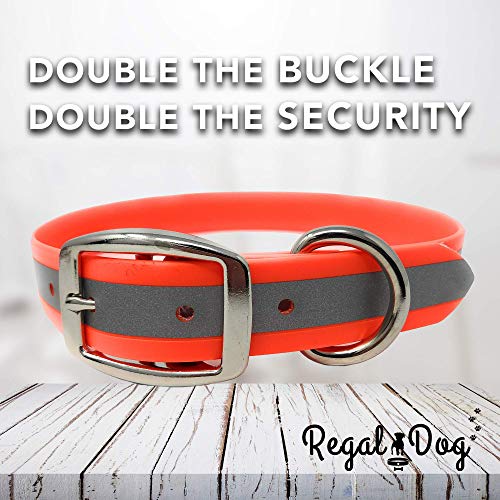 Regal Dog Products Medium Orange Heavy Duty Reflective Dog Collar With Durable Metal Buckle And D Ring | Adjustable, Chew Proof & Waterproof Dog Collar | Other Sizes For Small & Large Dogs #TOP6