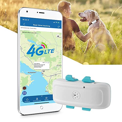 9 Best Dog Gps Tracker No Monthly Fees 2024 There's One Clear Winner BestReviews.Guide