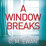 Cover of A Window Breaks
