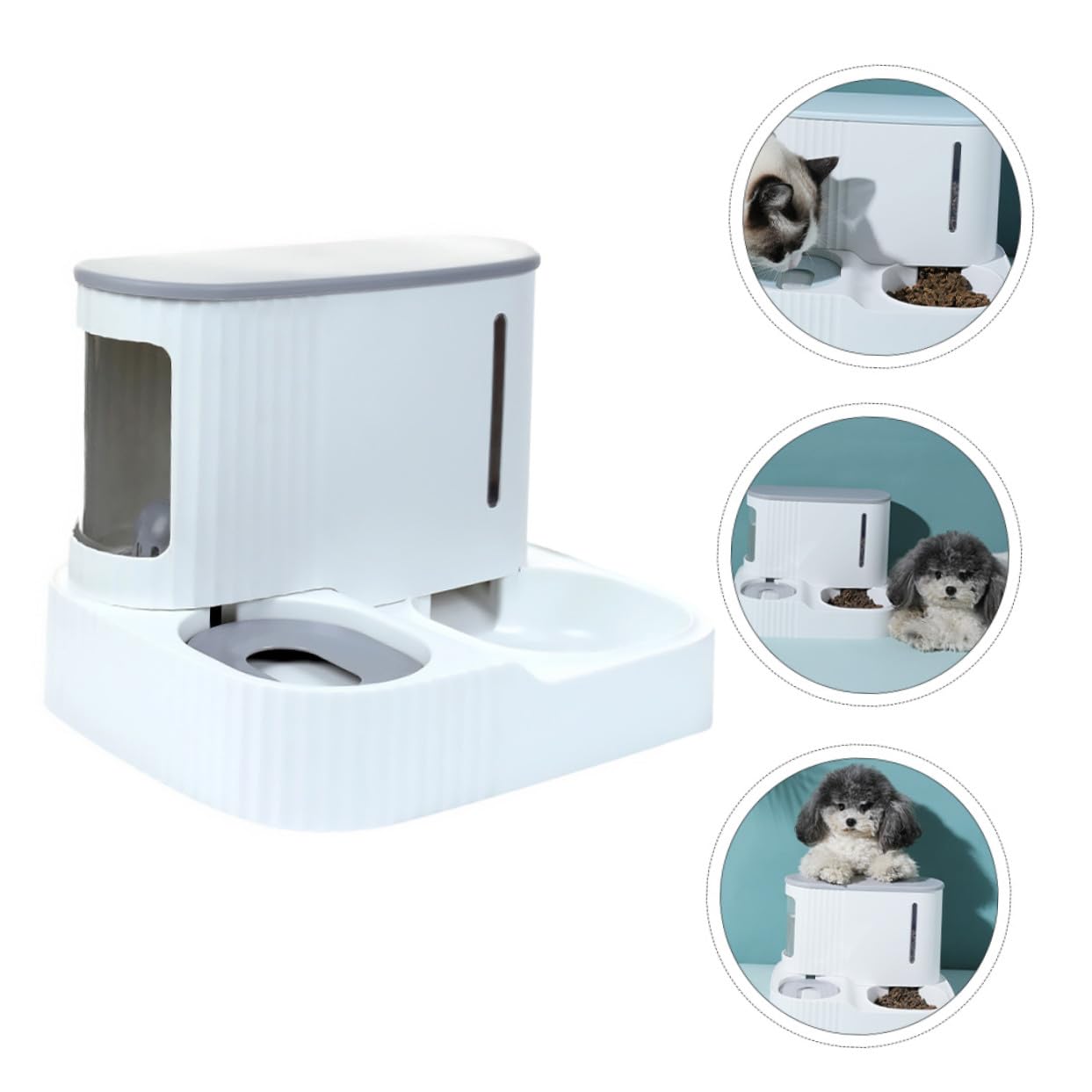 Distributeur Automatique et Eau de Nourriture Gravité, pour Chats