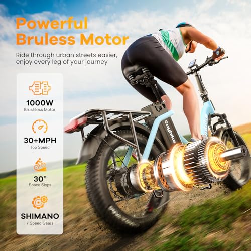 Folding Electric Bike for Adults with Peak 1000W Motor, 48V
