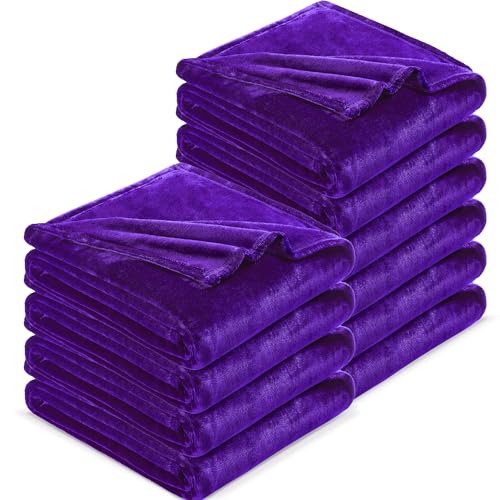 DREAMNINE Pack of 10 Soft Fuzzy Fleece Throw Blanket for Couch Sofa 50" x 60", Decorative Solid Lightweight Velvet Blankets for Chair, Cozy Accent Shaggy Plush Flannel Blanket for Bedroom, Purple