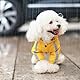 LOS ANDES Regenjacke Hund Wasserdicht für Klein Hunde, Regenmantel Hund, Reflektierend Regenjacke mit Kapuze für Hund, Hunderegenmantel für Hunde Sichere Gassigänge