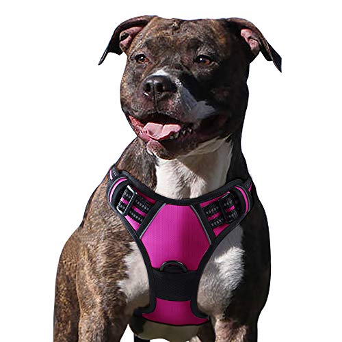 Eagloo Dog Harness No Pull, Walking Pet Harness with 2 Metal Rings