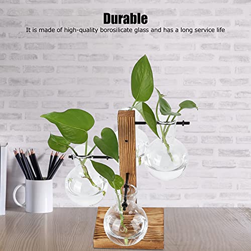 Vase hydroponique en verre avec support en bois, terrarium et station de propagation pour la maison ou le café (vase à 4 bulbes)