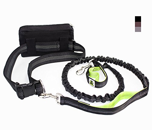 PetsAlly Hands Free Dog Leash Includes Bag Dispenser and Training Ebooks - Premium Quality - Waist Dog Leash for Running Hiking Jogging Waking - Ideal for Medium to Large Dogs
