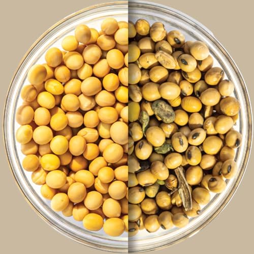 608: Not all protein is created equal - and why that matters