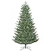 Vickerman 411193 - 54" Medium Deluxe Frasier Fir Tree with 250 Multi Color LED Lights Christmas Tree (G162247LED)