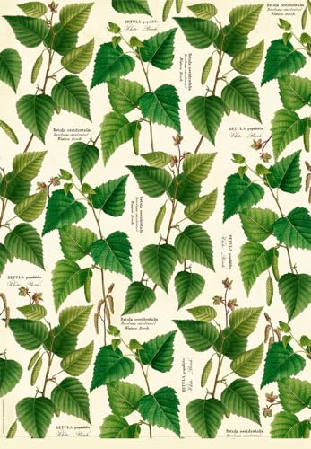 Geschenkpapier-Buch - Schöner schenken (Sammlung Augustina): Geschenkpapiere für jede Gelegenheit