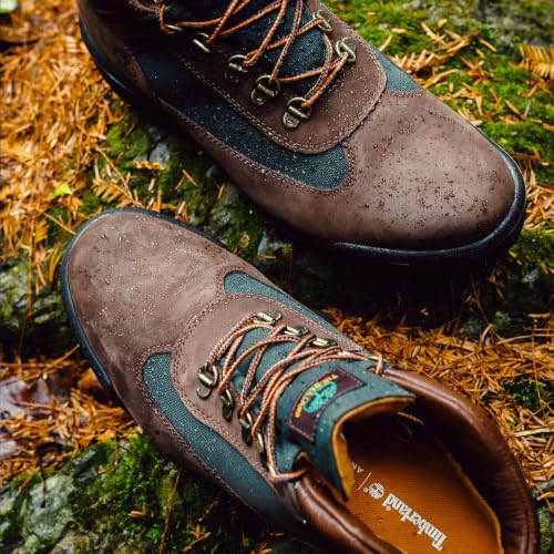 Image of Timberland Waterproof Field Boot Mid 'Chocolate Brown'