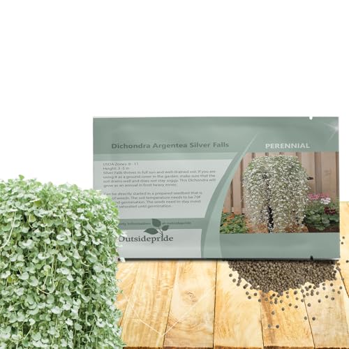 Outsidepride Perennial Dichondra Silver Falls Seed - 15 Pcs Heat & Drought-Tolerant, Low-Maintenance Ground Cover Seeds for Planting, Ideal for Container Plant, Erosion Control, & Silver Foliage