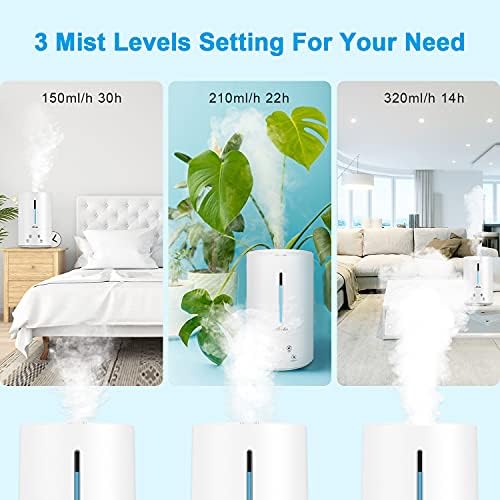 Top 10 Best piano humidifier system Reviews Music Play On