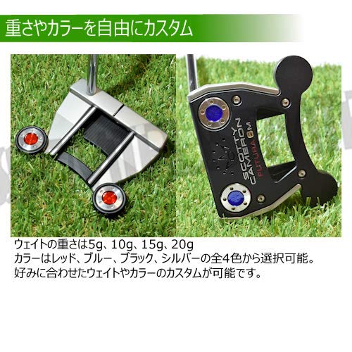 Amazon.co.jp: ゴルフ 互換品 スコッティキャメロン専用 パター