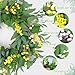 Artificial Green Eucalyptus Wreath for Front Door: 24 Inch Summer Wreaths for Indoor and Outdoor Decor, Large Boxwood Wreath for All Seasons, Spring Greenery Wreaths for Indoor/Outdoor Decorations