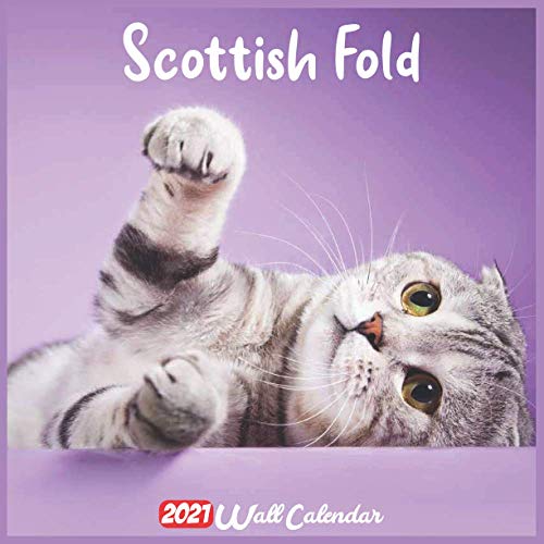 Télécharger Scottish Fold 2021 Wall Calendar: Official Scottish Fold 2021 Calendar 2021, 18 Months PDF Ebook En Ligne
