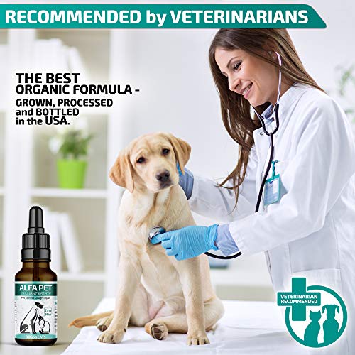Kennel Cough Medicine for Dogs, Organic Dog Cough Medicine for Colds and Allergies - Natural Kennel Cough Treatment with Mullein Leaf and Elderberry - Thumbnail 7
