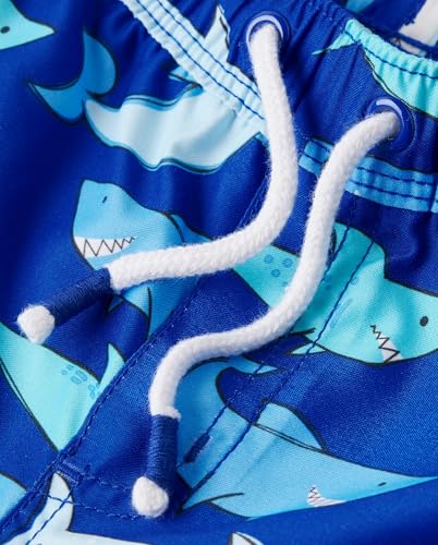 Image of Gymboree Boys and Toddler Swim Trunks