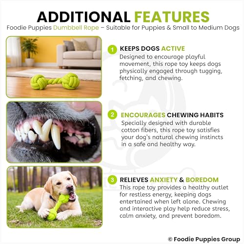 Image of Foodie Puppies Durable Cotton Rope Chew Toy for Dogs (Dumbbell Rope) | Chewing, Fetching, Playing, Teething & Training for Small to Medium Dogs & Puppies (Color May Vary)