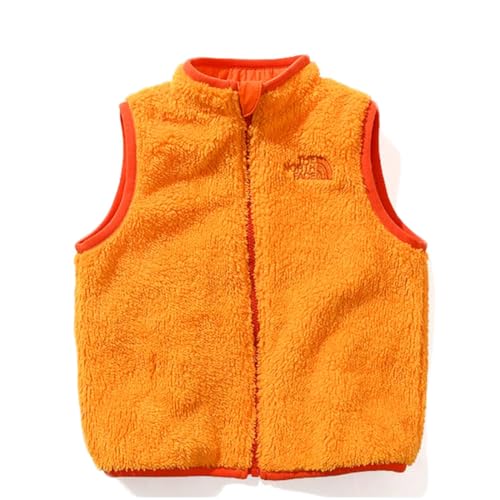 THE NORTH FACE(Um[XtFCX) t[X xXg B Reversible Cozy Vest TNFIW 90